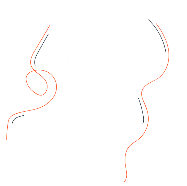 Fast Internet & Cyber Security