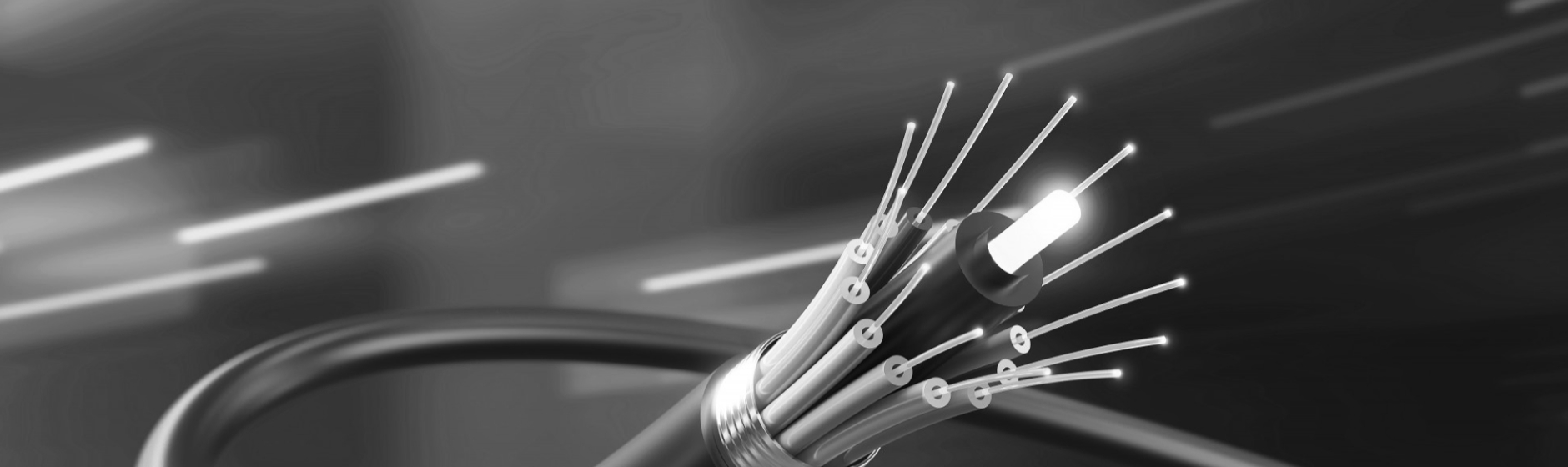 page-banner-bg